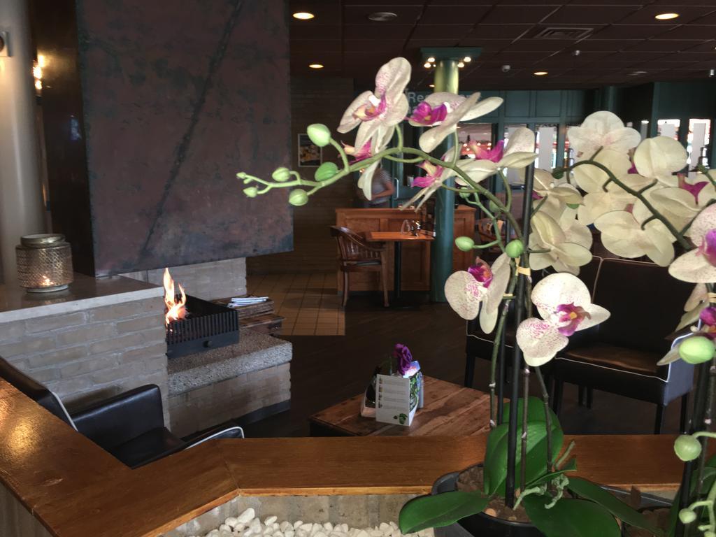 Appartement Ut & Thus, Resort Amelander Kaap هولوم المظهر الخارجي الصورة